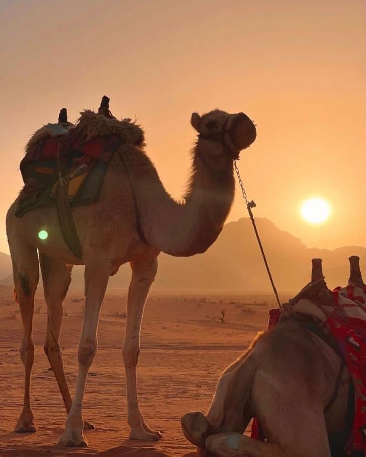 Rum Desert Princess Camp Ram Vadisi Dış mekan fotoğraf